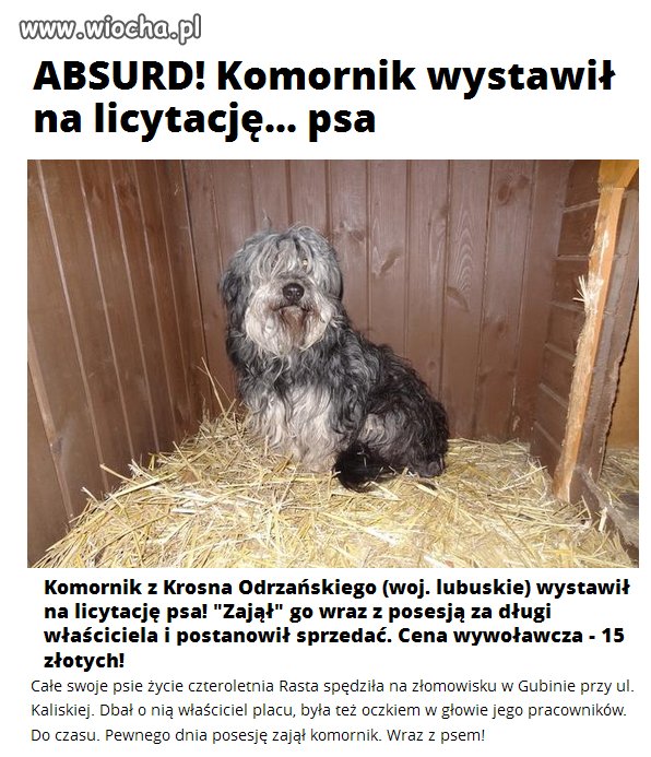 Kolejny komornik ma problem