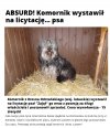 Kolejny komornik ma problem