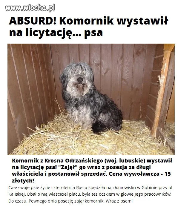 Kolejny komornik ma problem