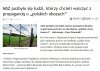 W razie pytań dlaczego prawda ma tak ciężko...