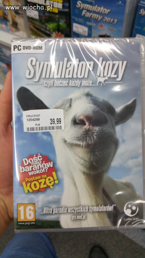 HIT wśród Ciapatych