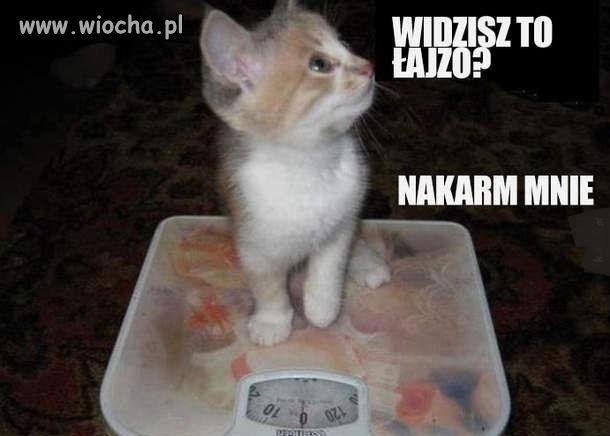 Widzisz to