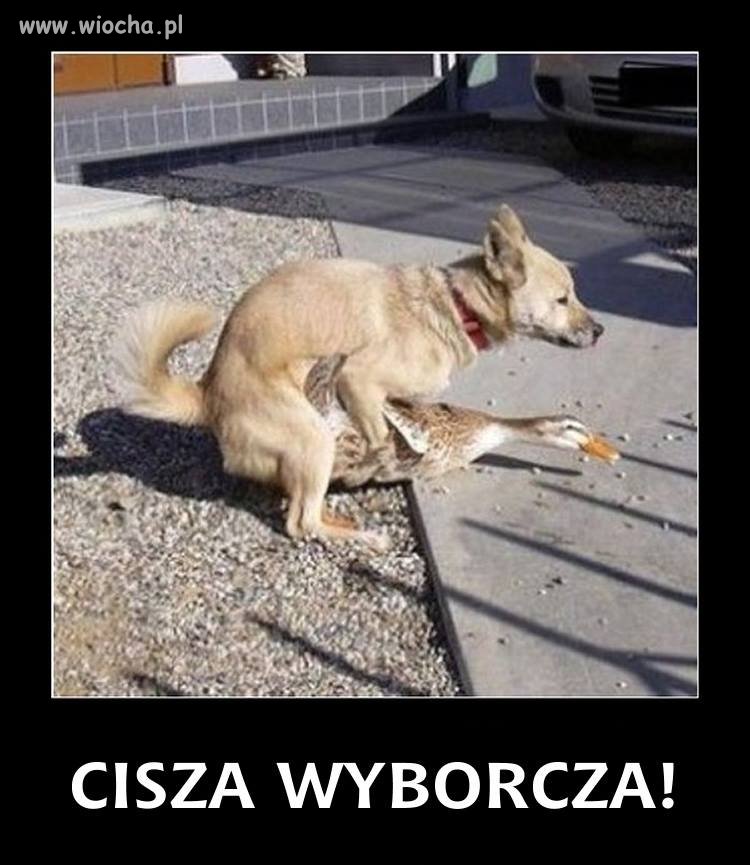 Cisza to cisza...
