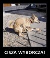 Cisza to cisza...