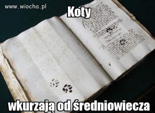Koty