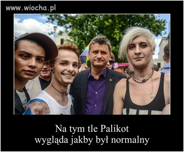 Palikot stwarza pozory normalnego