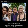 Palikot stwarza pozory normalnego