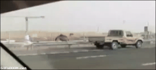Takie rzeczy tylko w Dubaju