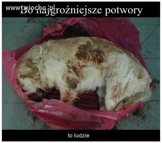 Taka osoba nie zasługuje, 