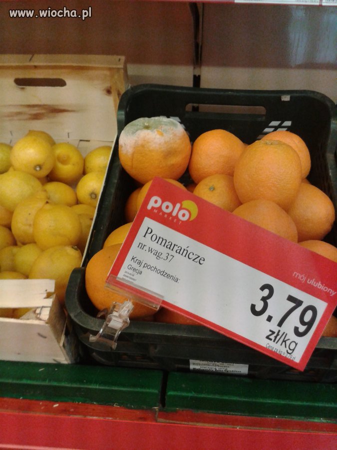 Jakość Polo Market