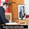 Święta krowa wśród bydła