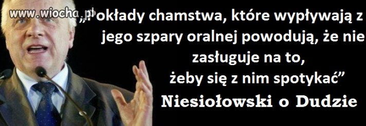 Kultura Niesiołowskiego 