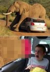 Przygoda na Safarii