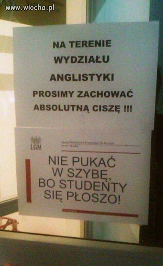 Studenty