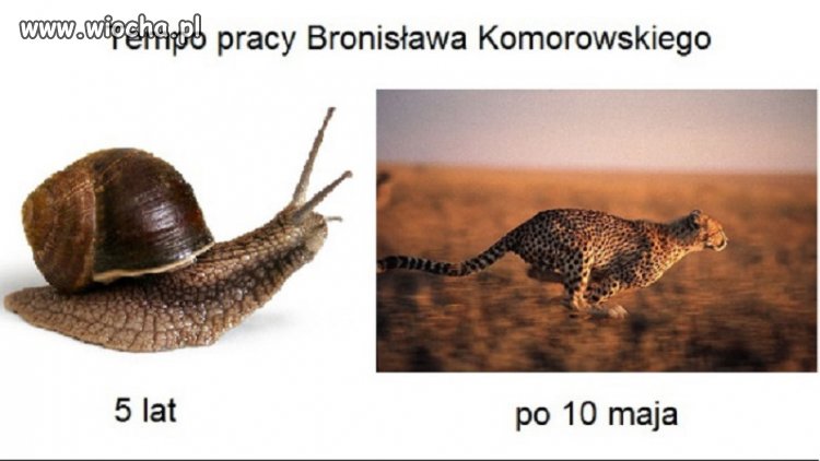 Przedwyborcze przyspieszenie