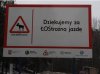 Łosie dziekują