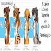 ŚWIĘTA RACJA 