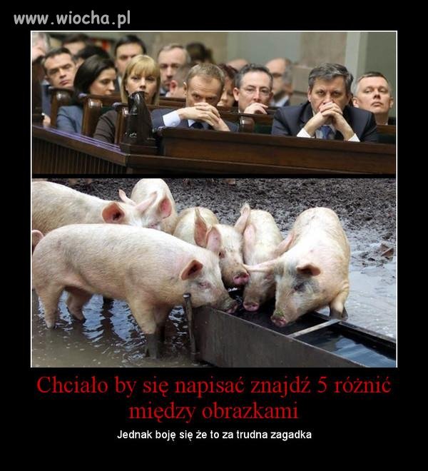 Opis mówi wszystko