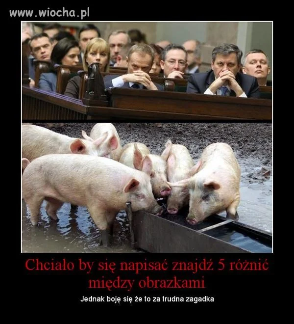 Opis mówi wszystko