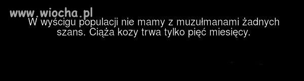 Teraz wiadomo