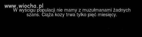 Teraz wiadomo