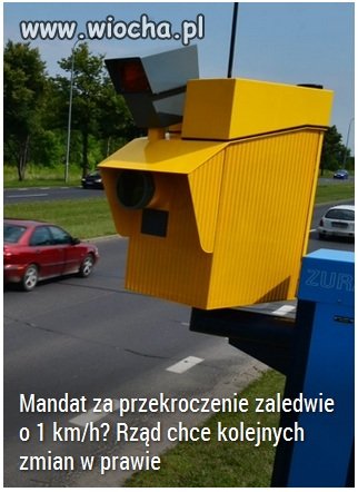 Platfusy wiedzą co obiecać lemingom 
