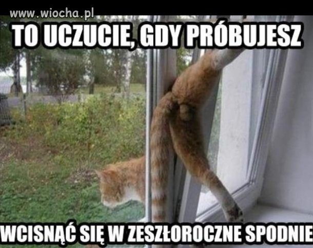To uczucie