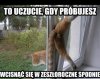 To uczucie