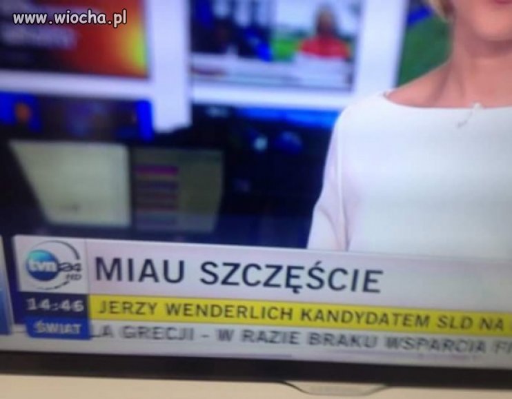 "Miau szczęście".