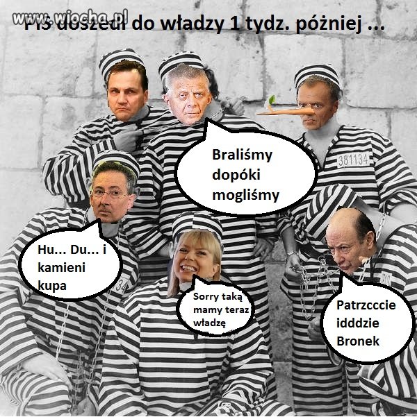 PO wyborach