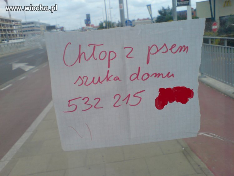 Ogłoszenie z Krakowa.
