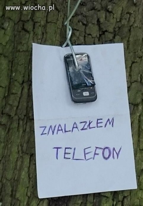Jednak uczciwy znalazca 
