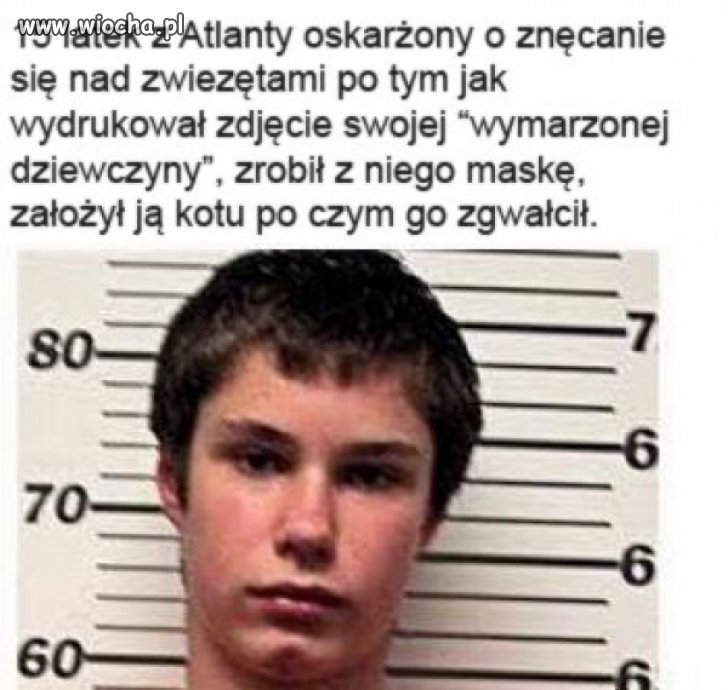 Biedny kotek.
