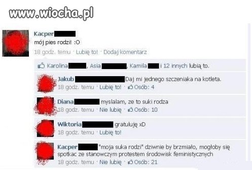Kotlet