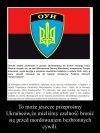 Głupota naszego rządu