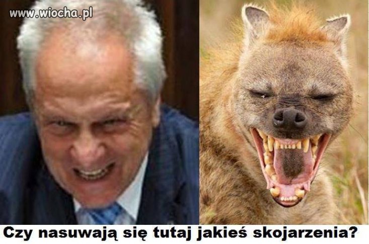 To się nadaje tylko do klatki 
