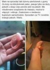 Mam na sprzedaż ...świetnie masuje paluch.Warto