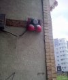 Może będzie +18