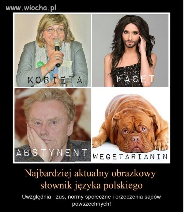 Słownik obrazkowy