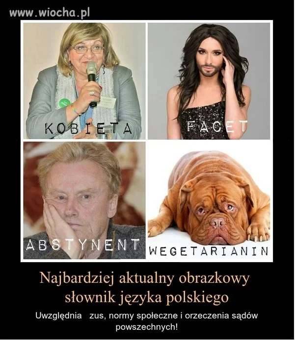 Słownik obrazkowy