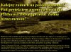 Z cyklu: Jak wyprzedać całą POlskę 