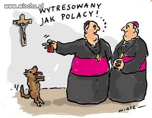 Wytresowany jak Polacy