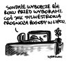 Na ogłupianie wyborców sondażami