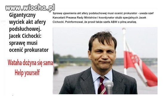 Wataha dożyna się sama 