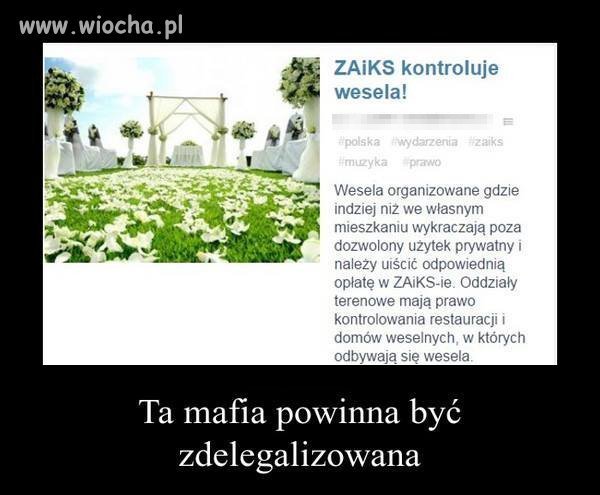 Czy istnieją jakieś granice głupoty