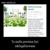 Czy istnieją jakieś granice głupoty