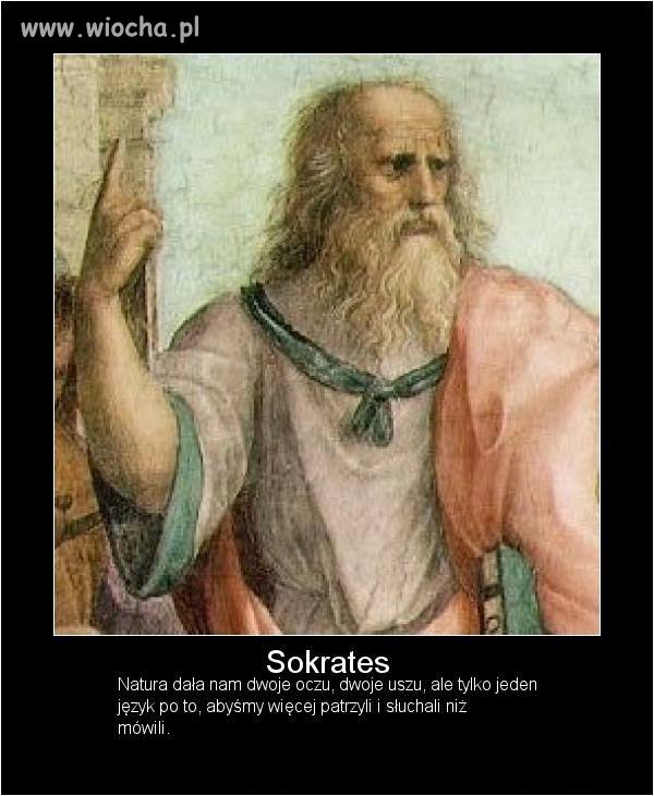 Posłowie chlapią jęzorami, a oczy i uszy mają zamknięte