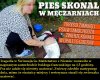 Lekkomyślność 