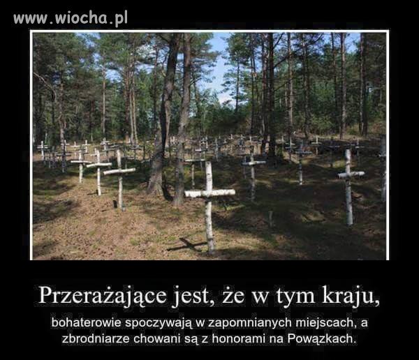 Opis pod zdjęciem