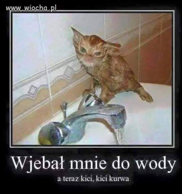 Prawo silniejszego